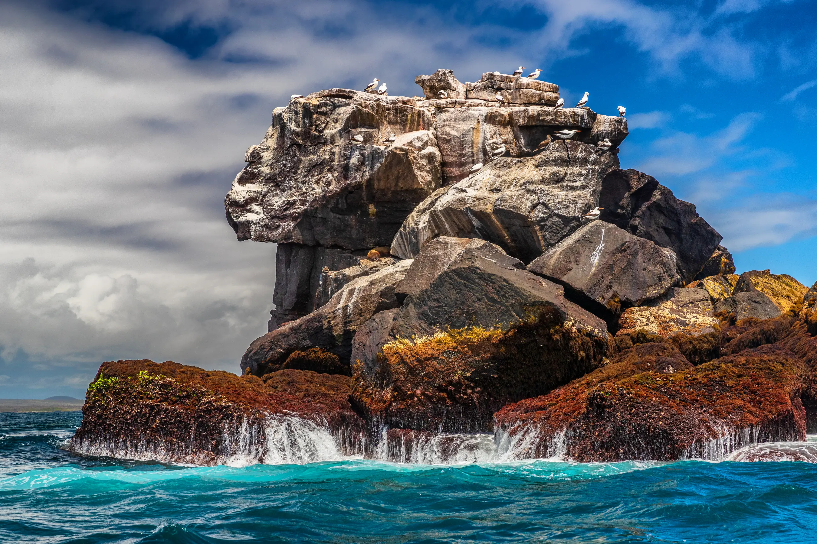 West Galapagos Expedition Cruise — image 4
