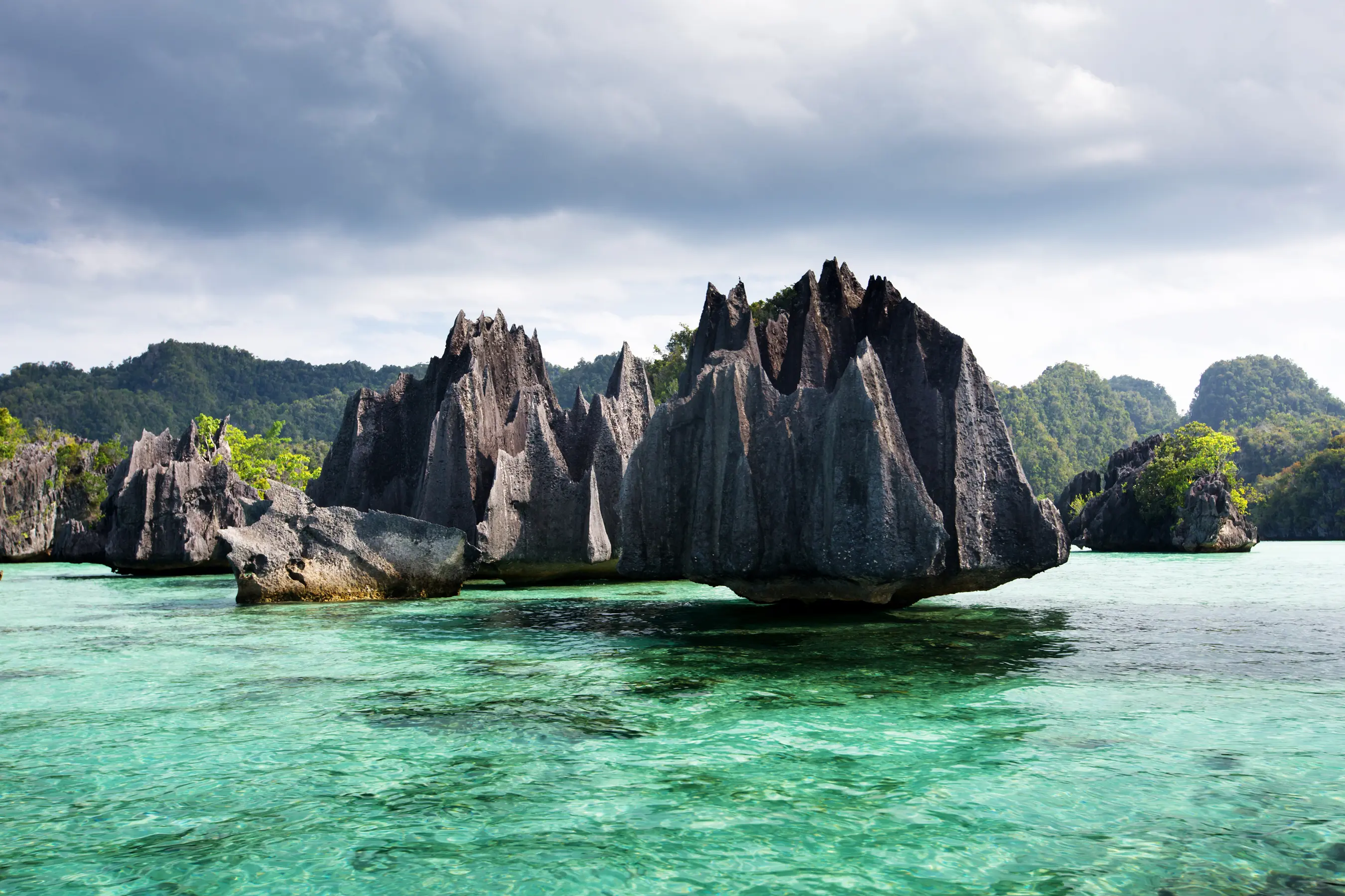 North Raja Ampat Expedition — image 5