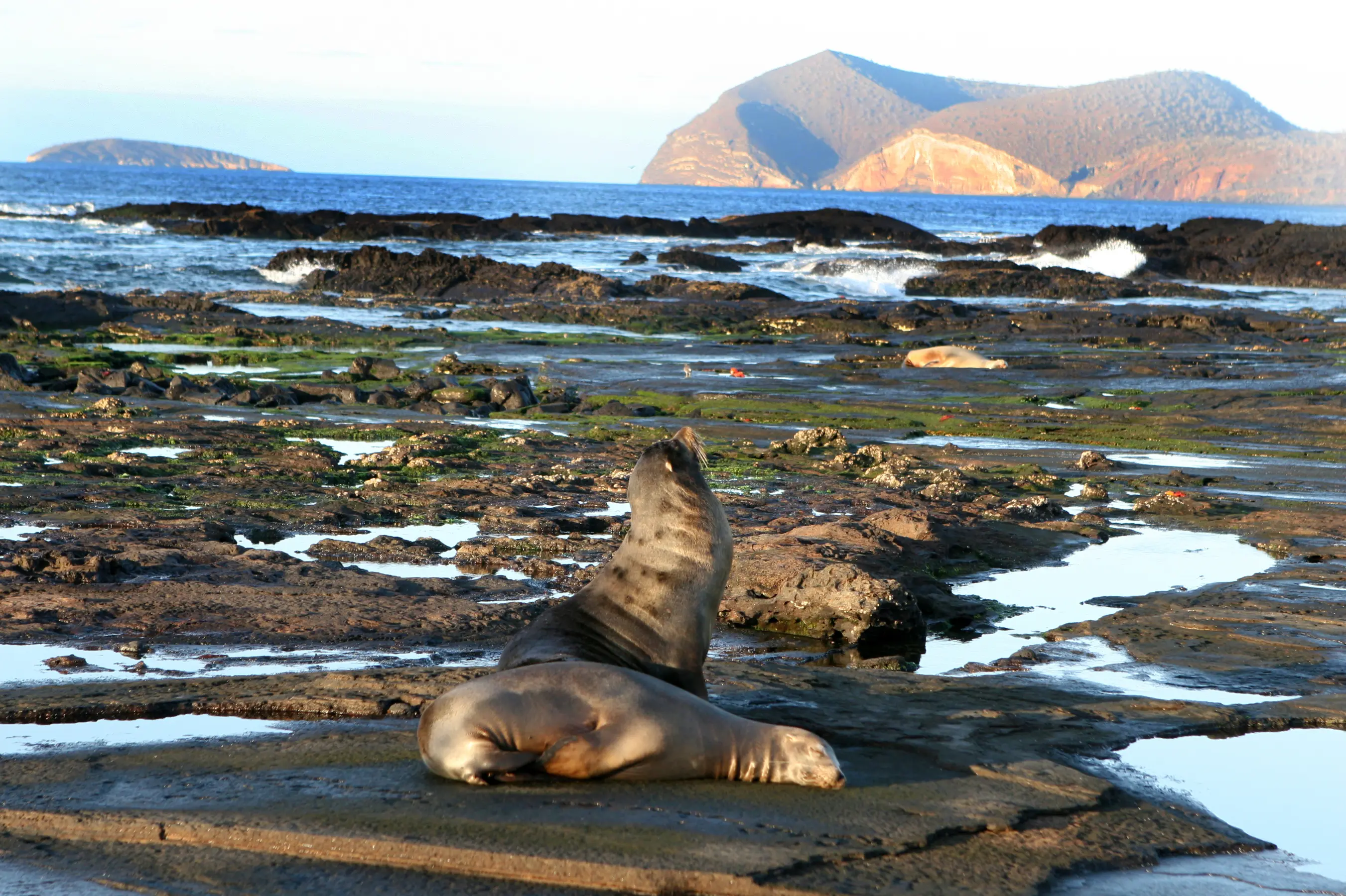 East Galapagos Expedition Cruise — image 4