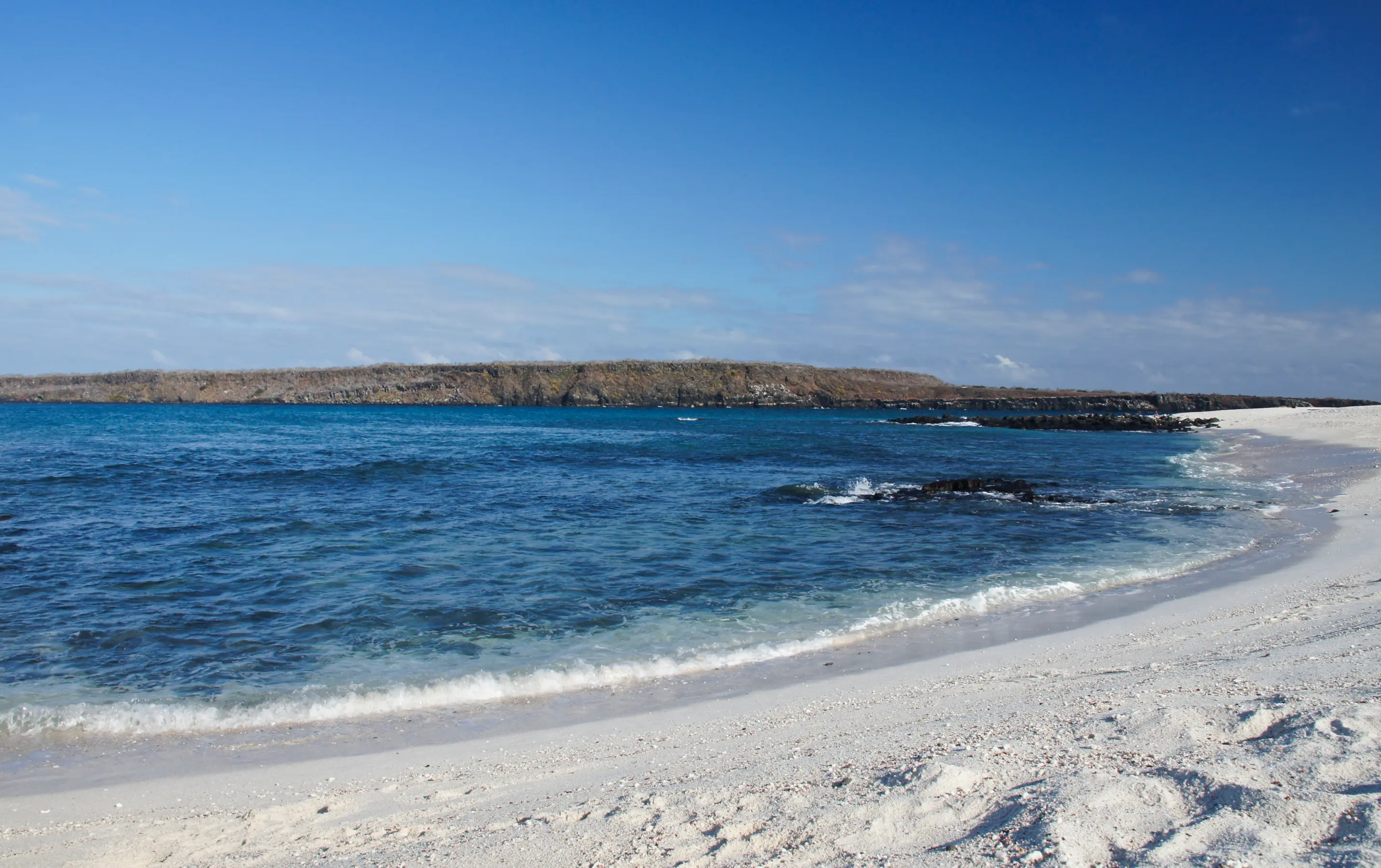 East & West Galapagos Expedition Cruise — image 3