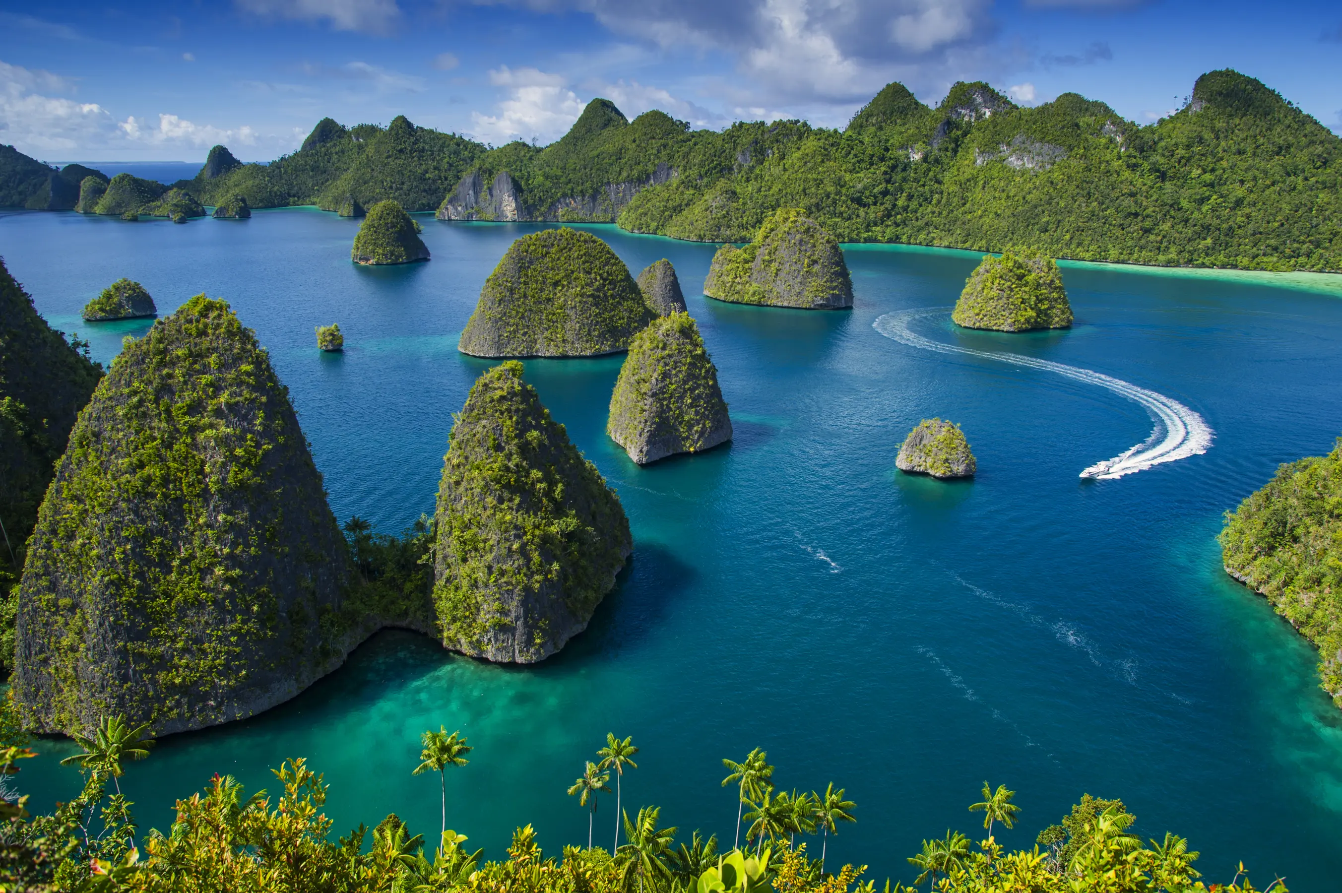 Asmat Tribe & Raja Ampat Expedition — image 4
