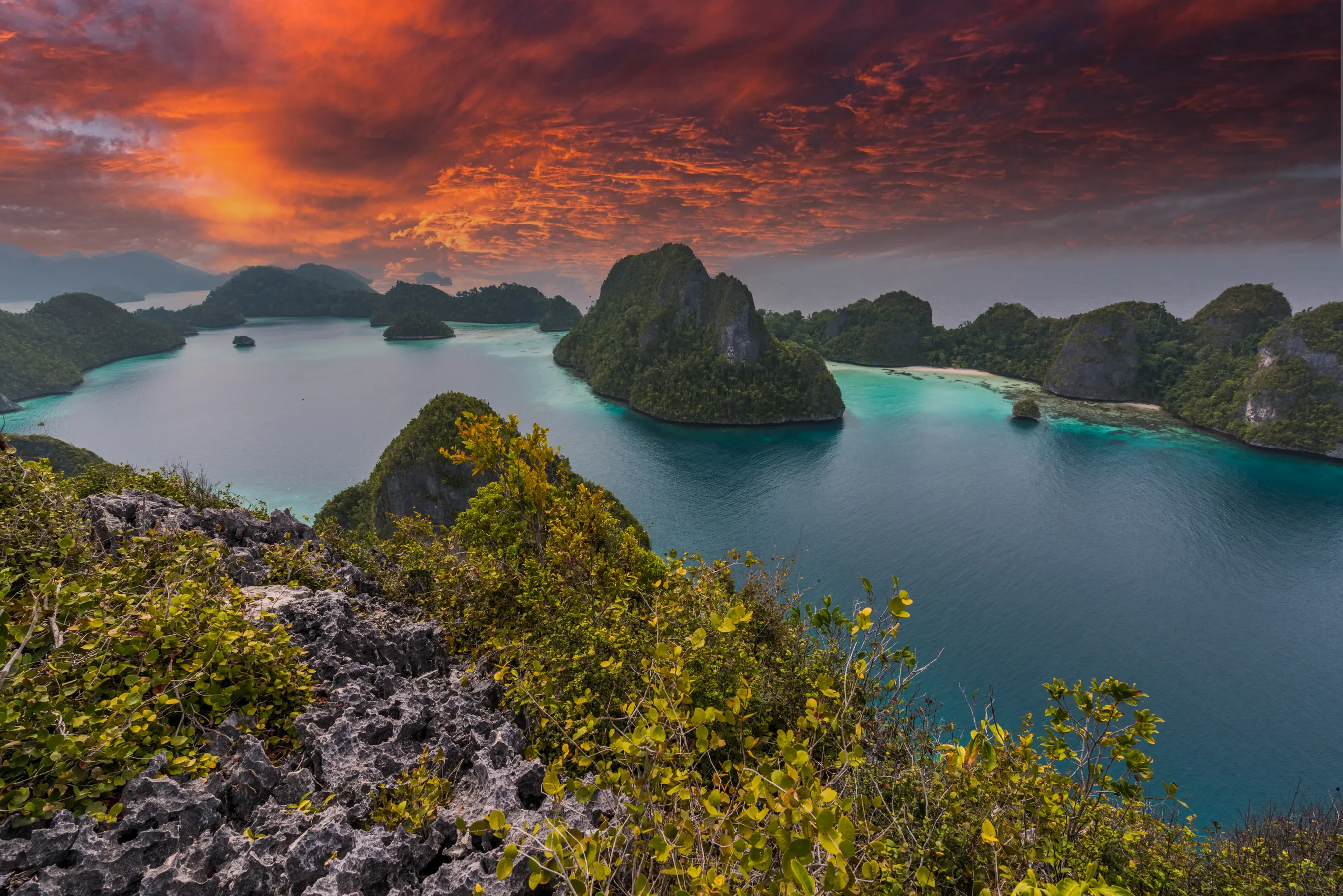 Raja Ampat & Spice Islands Expedition — image 3