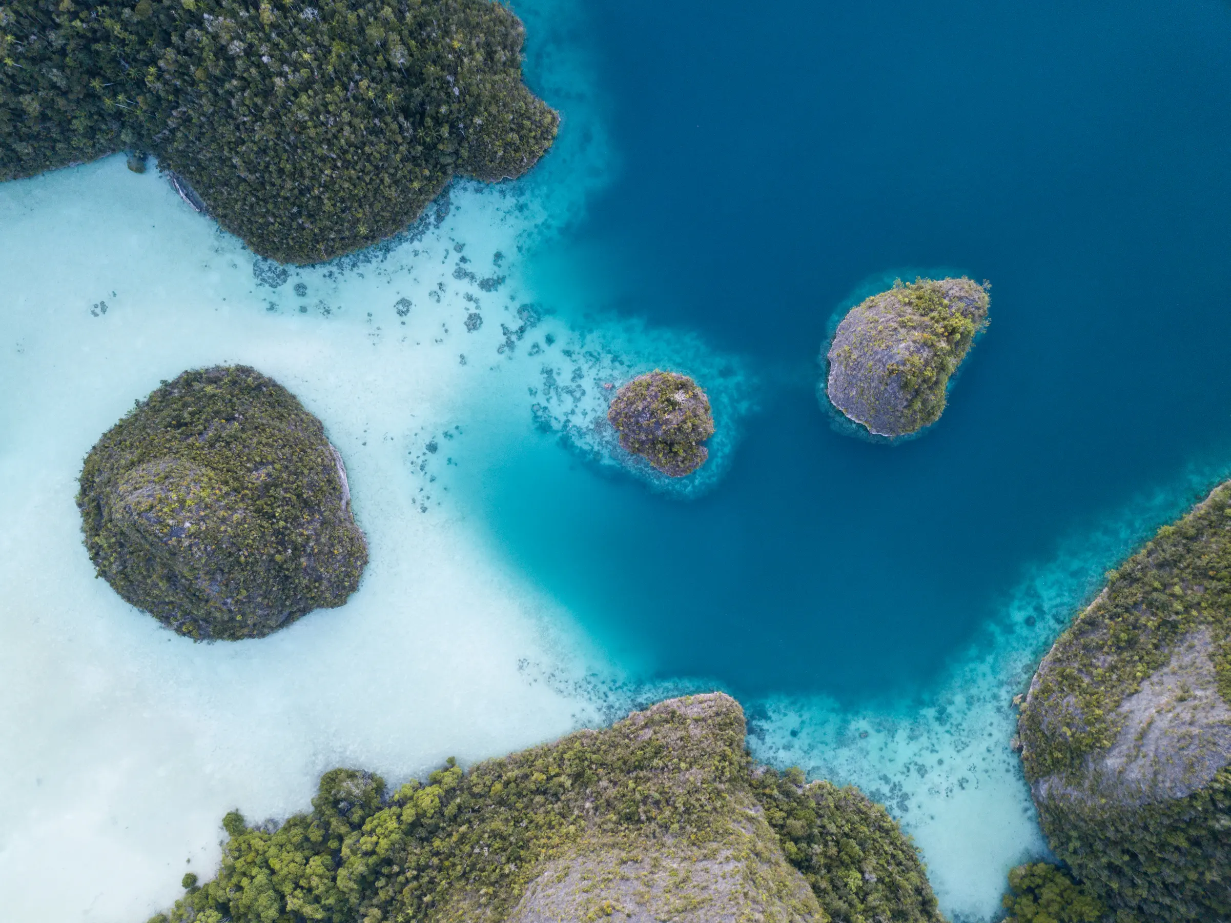Spice Islands & Forgotten Islands Expedition — image 4
