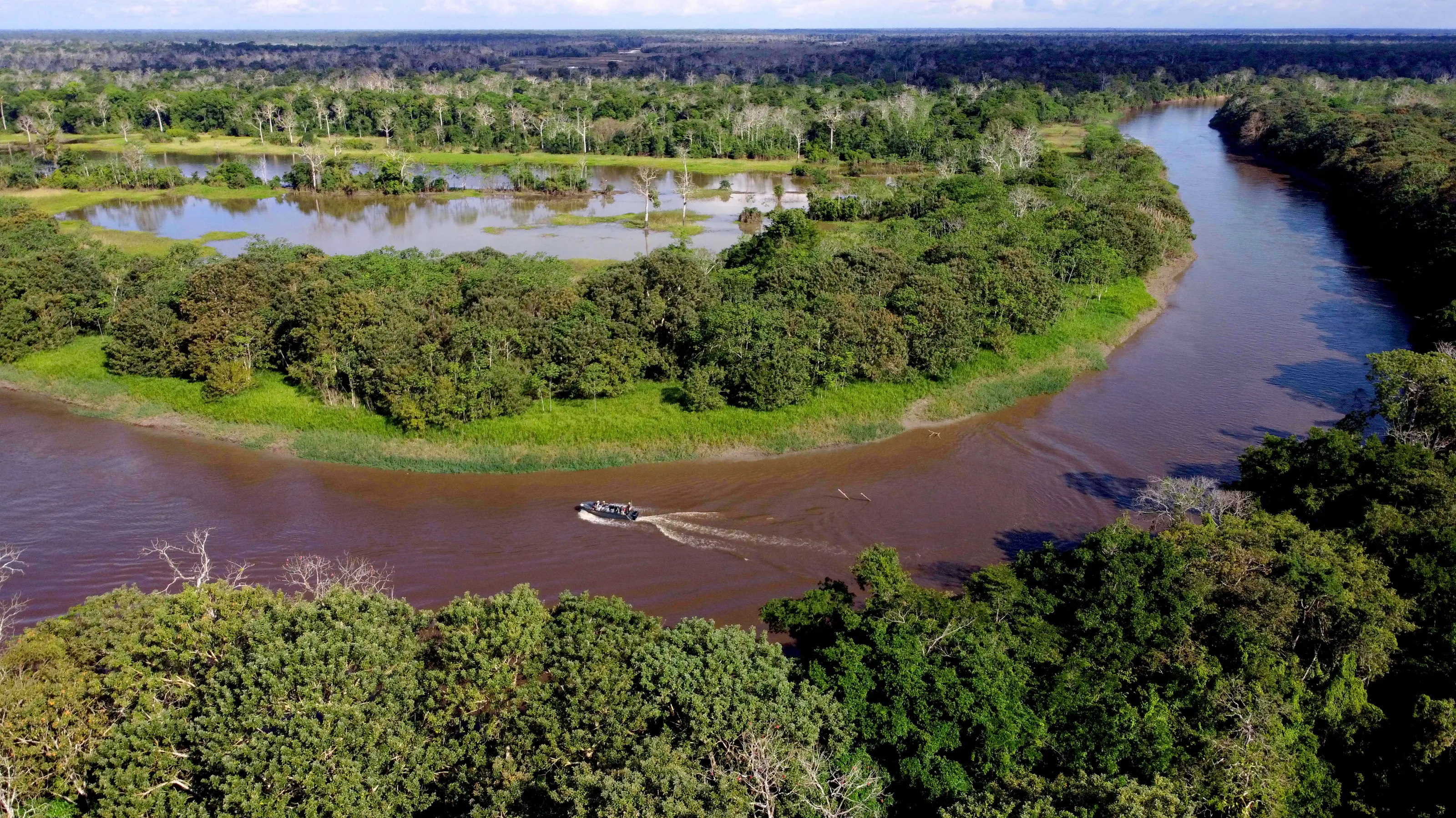 Amazon Expeditions Cruise — image 5