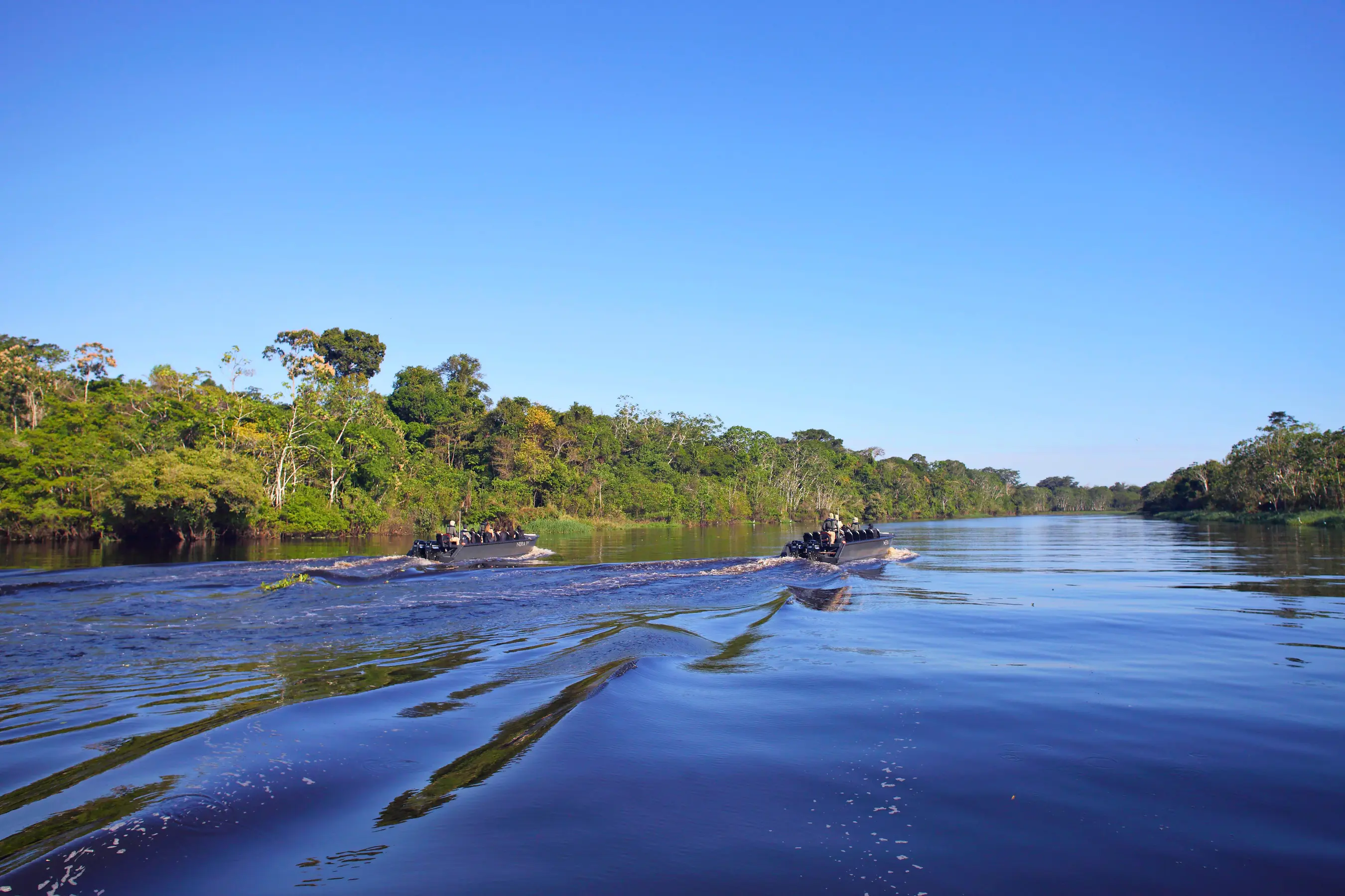 Amazon Discovery Cruise — image 3