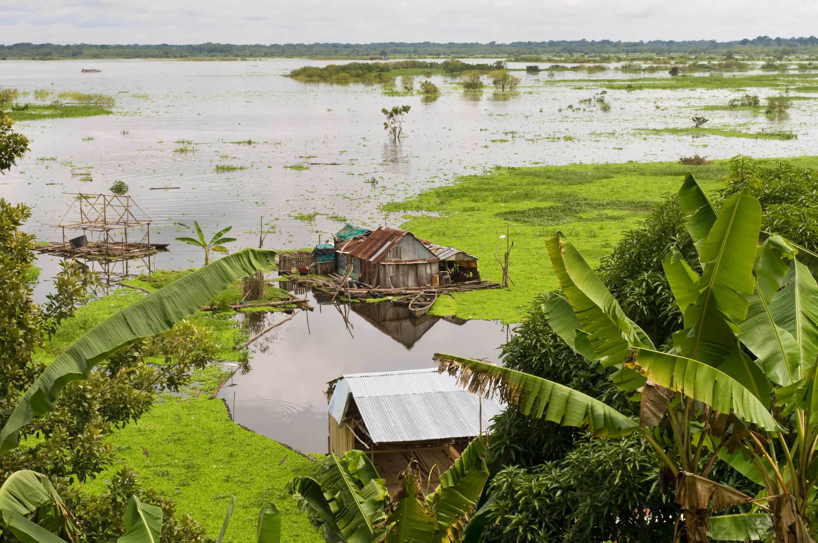 Amazon Discovery Cruise — image 5
