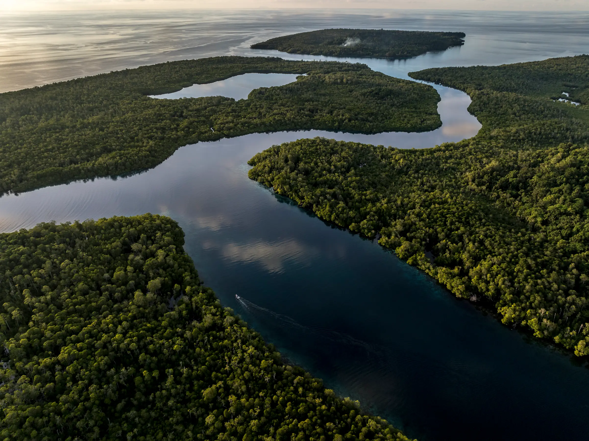 North & South Raja Ampat Expedition — image 4