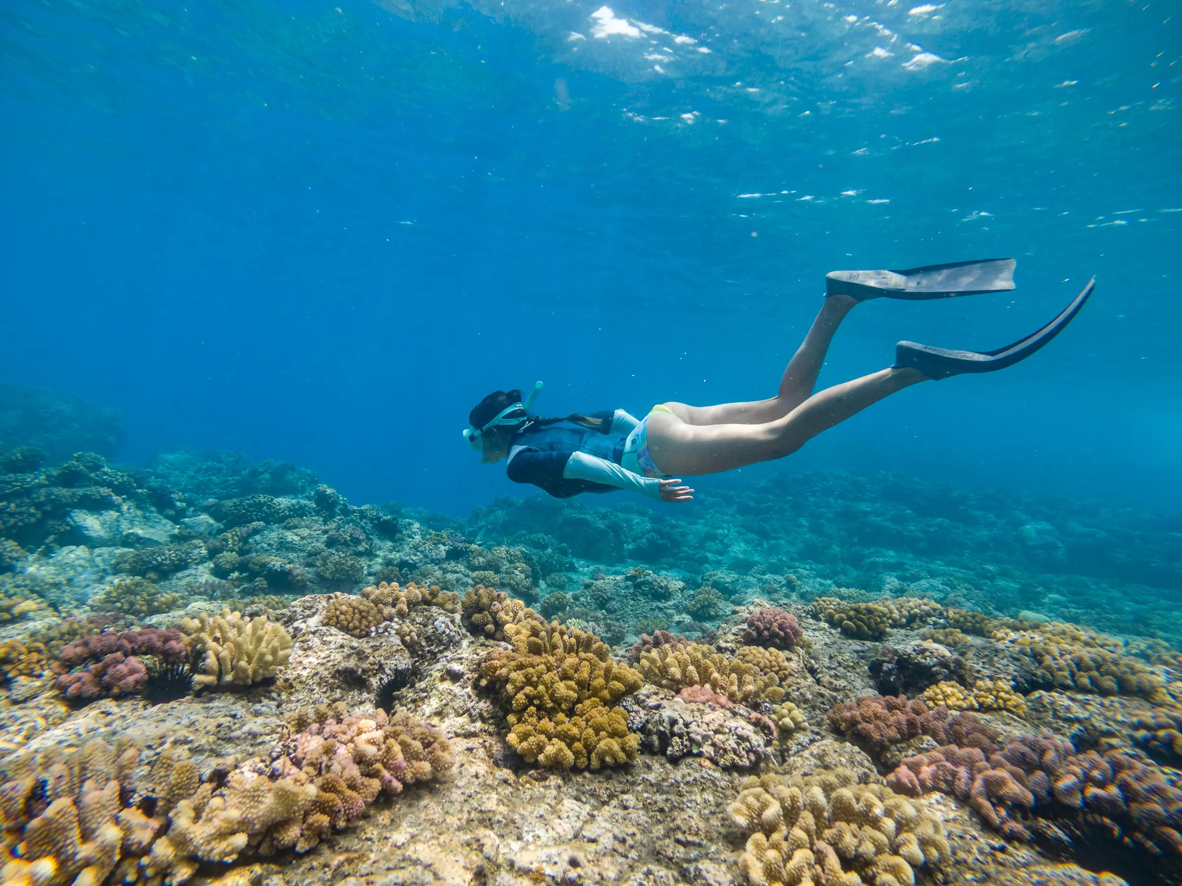 Aldabra & Seychelles’ Outer Islands — image 4