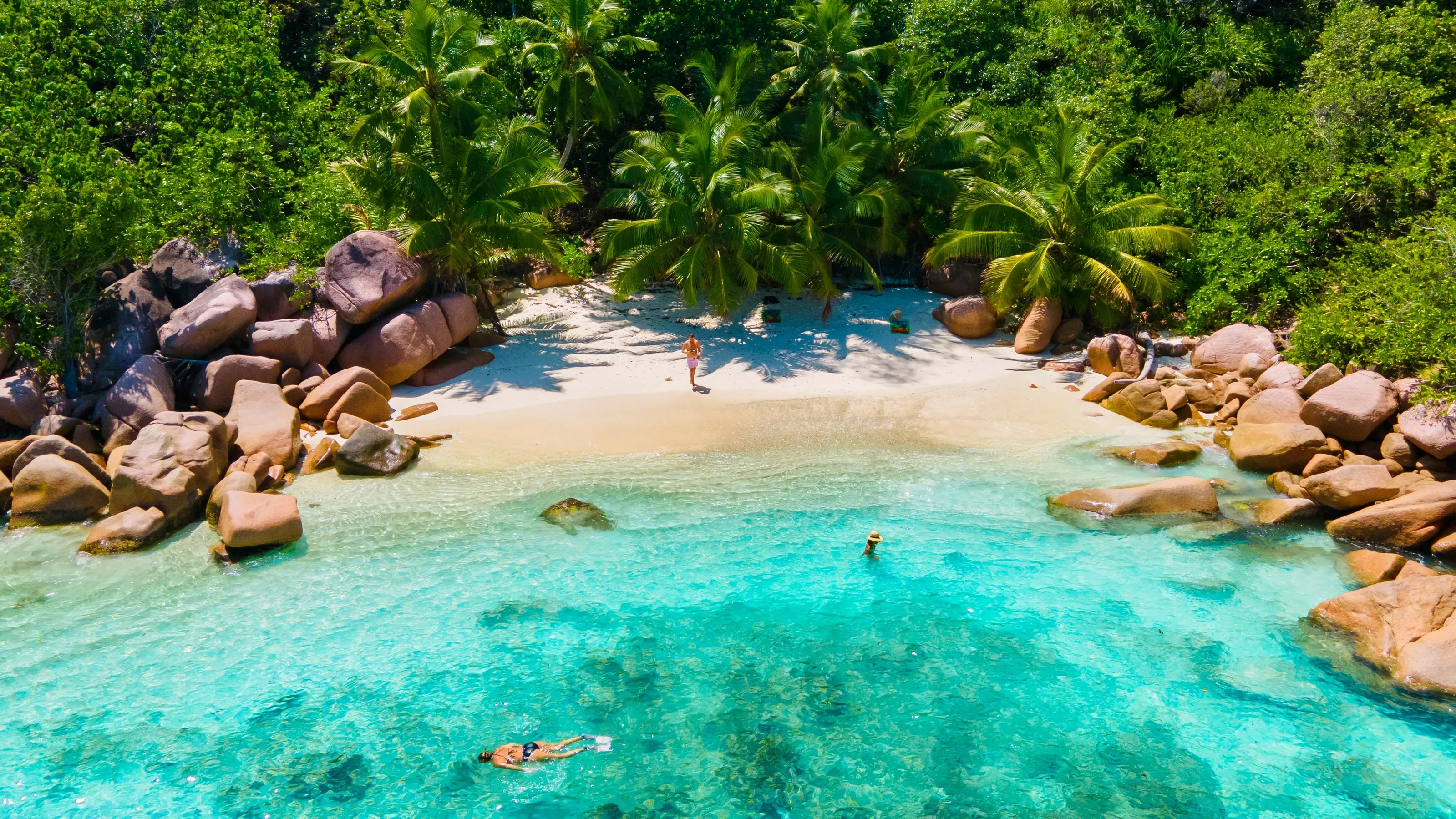 Aldabra & Seychelles’ Outer Islands — image 5