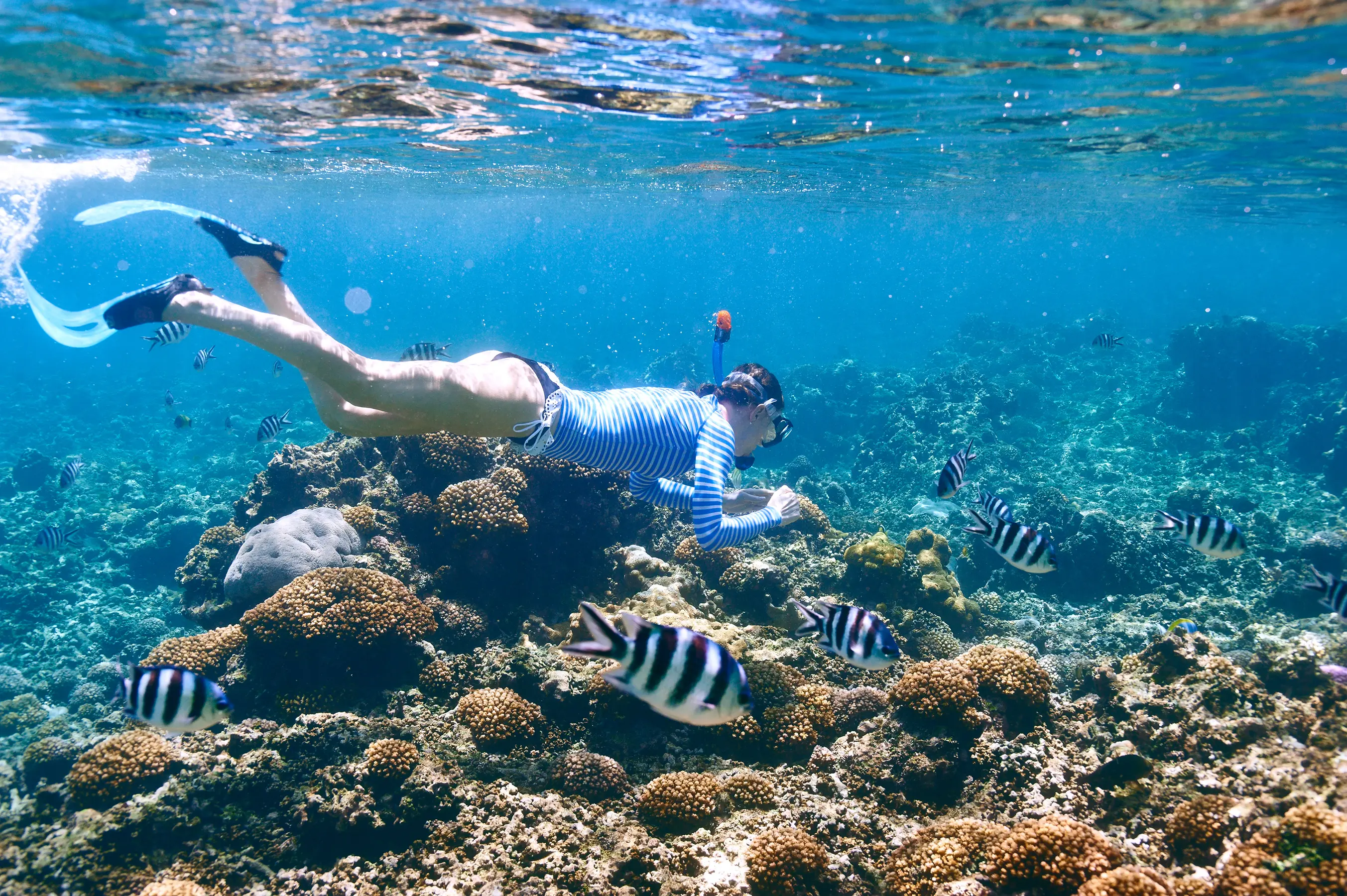 La Digue & Seychelles' Inner Islands — image 7