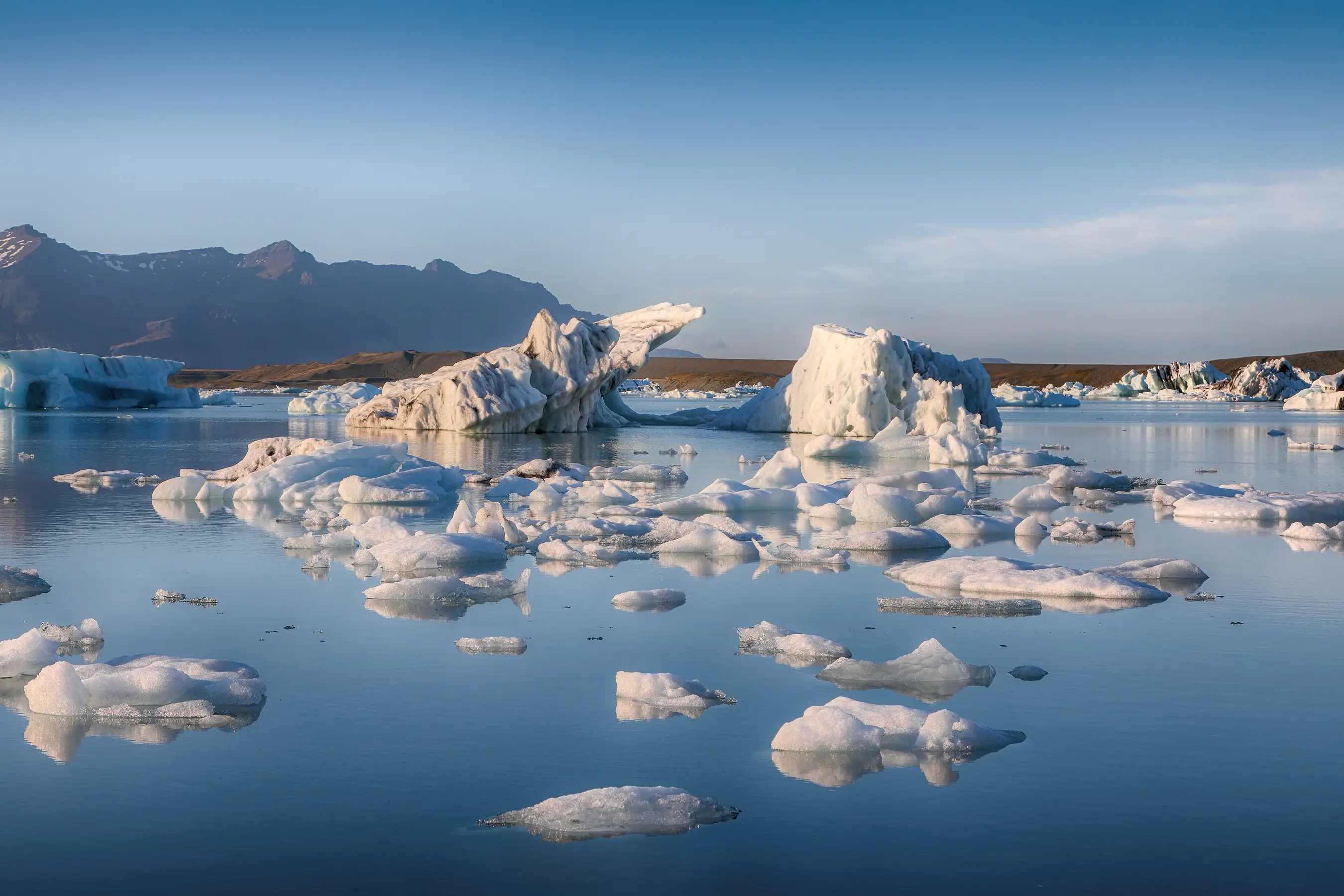 Svalbard, Bear Island & Tromso — image 6