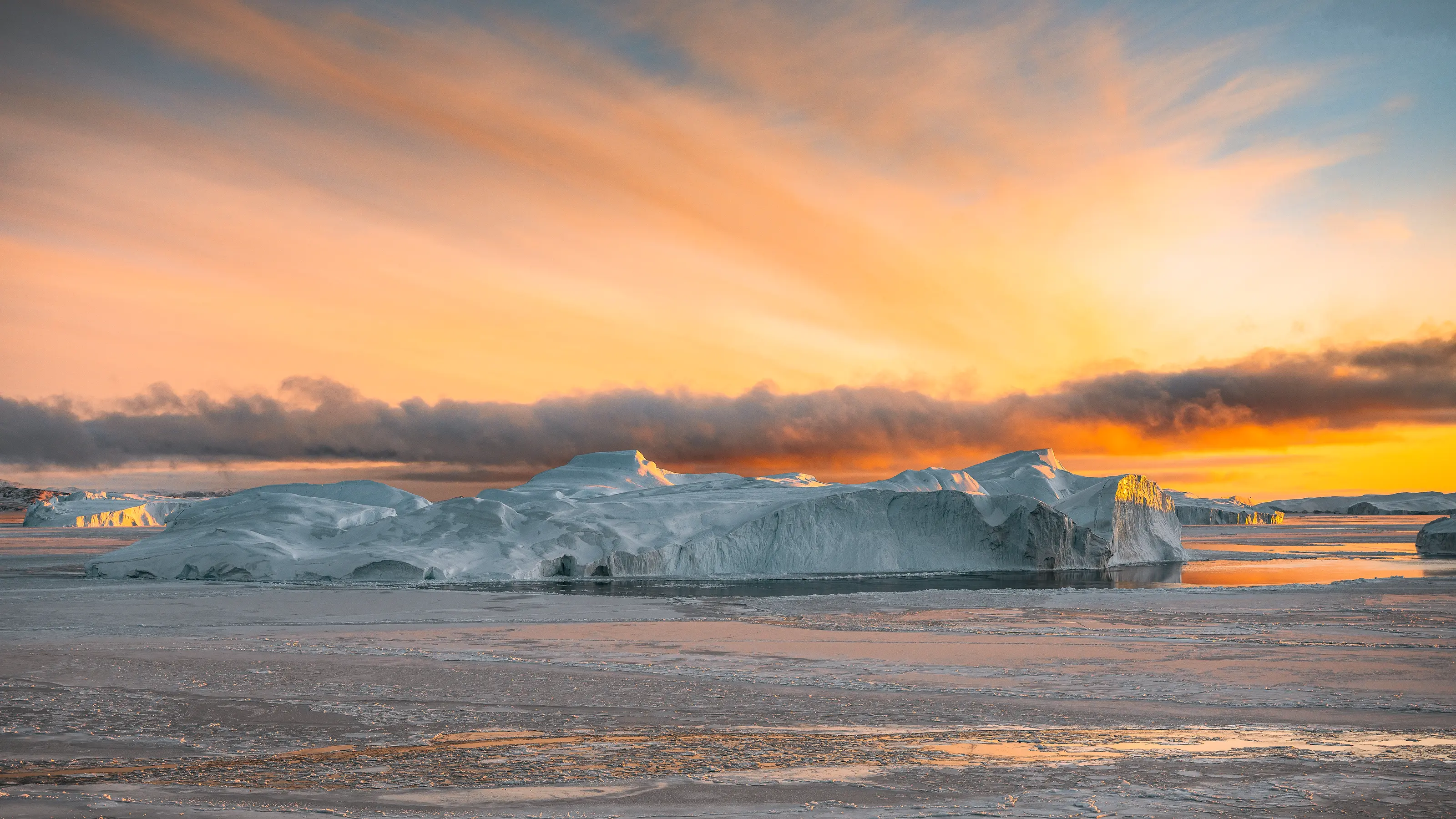 Svalbard, Bear Island & Tromso — image 7