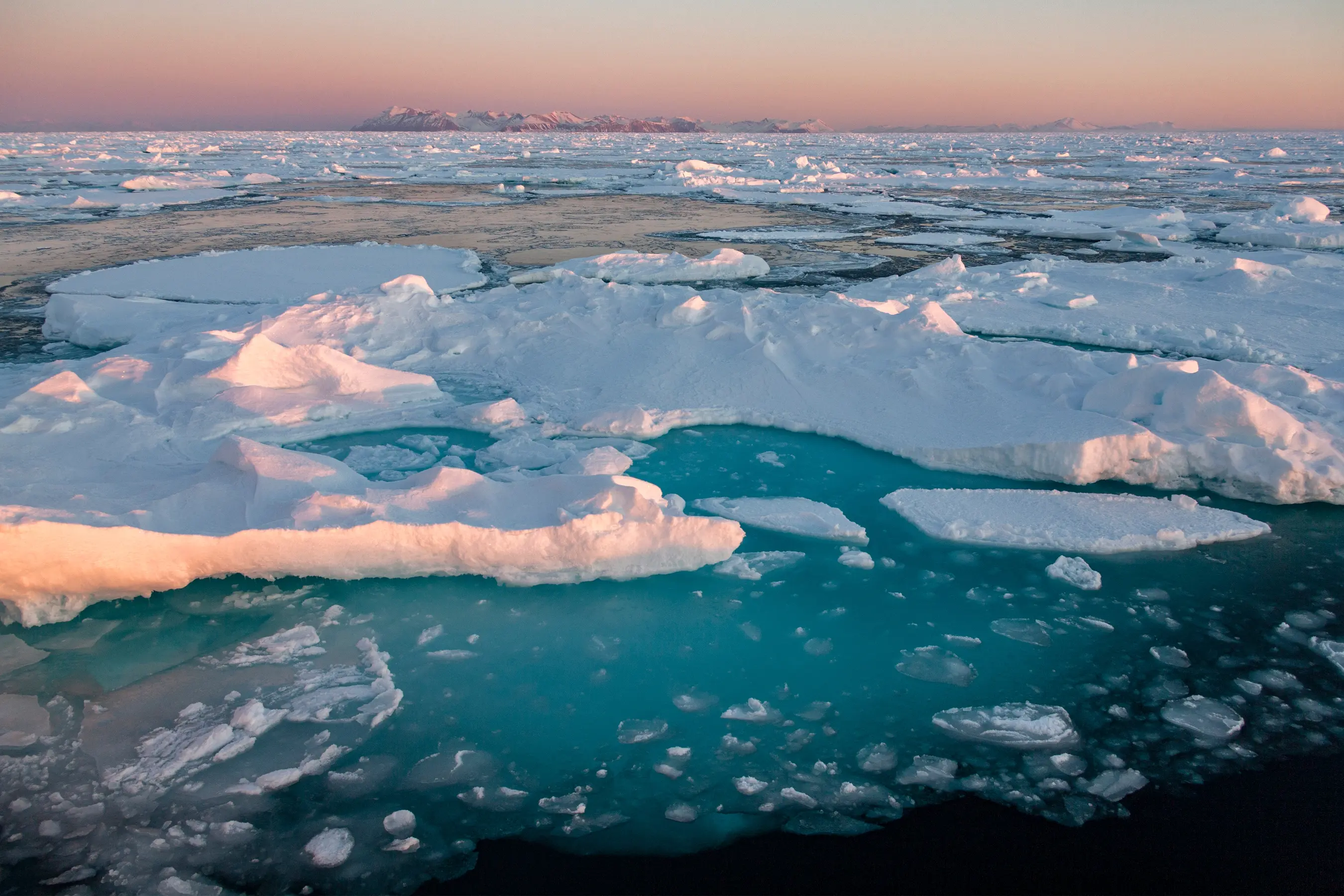 Svalbard, Arctic Circle & Scottish Isles — image 6