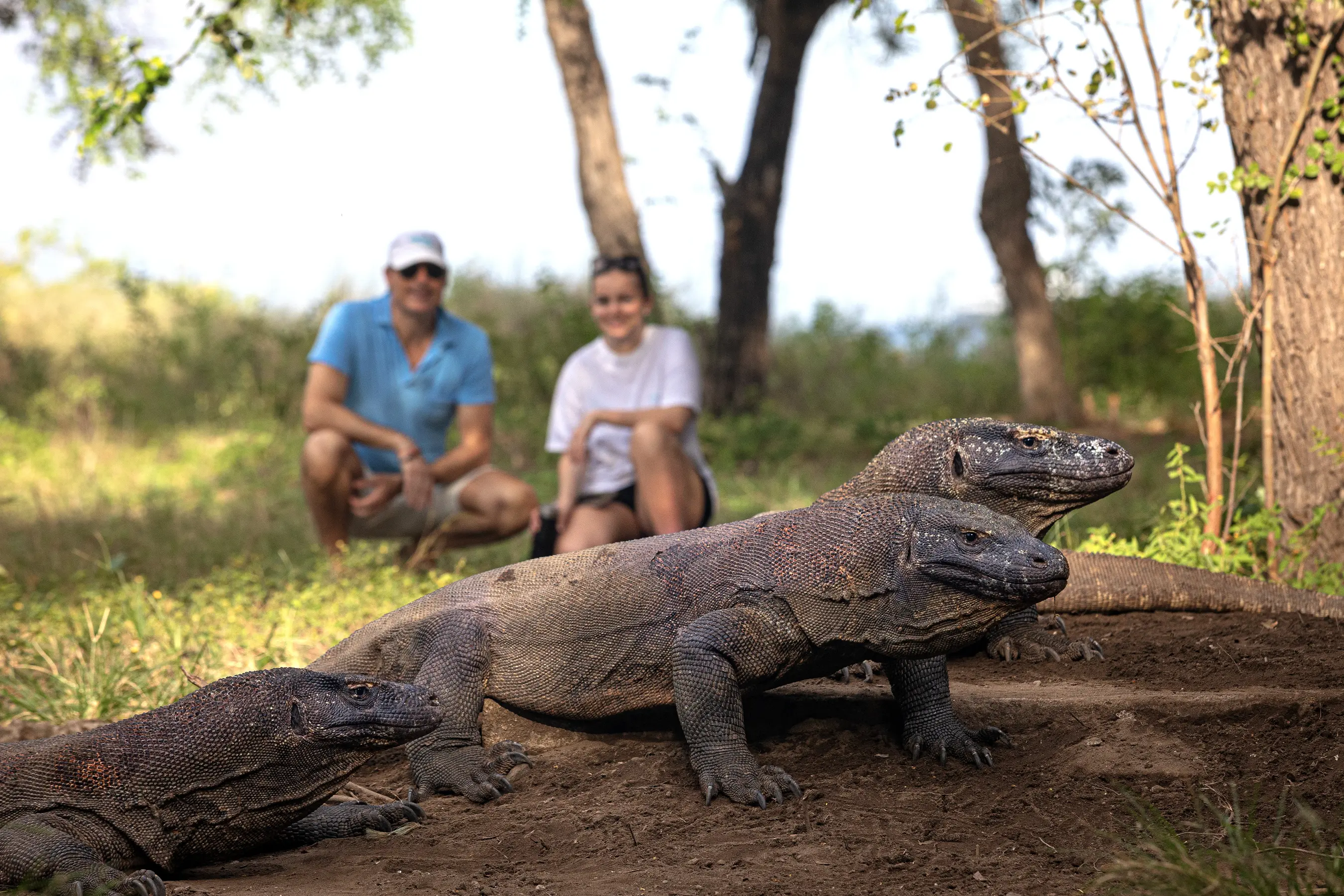 Moyo & Komodo National Park Expedition — image 3