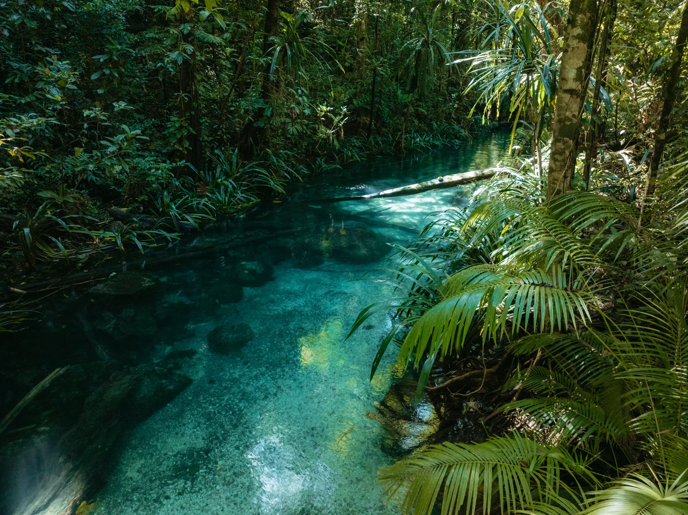 Raja Ampat Expedition — image 6