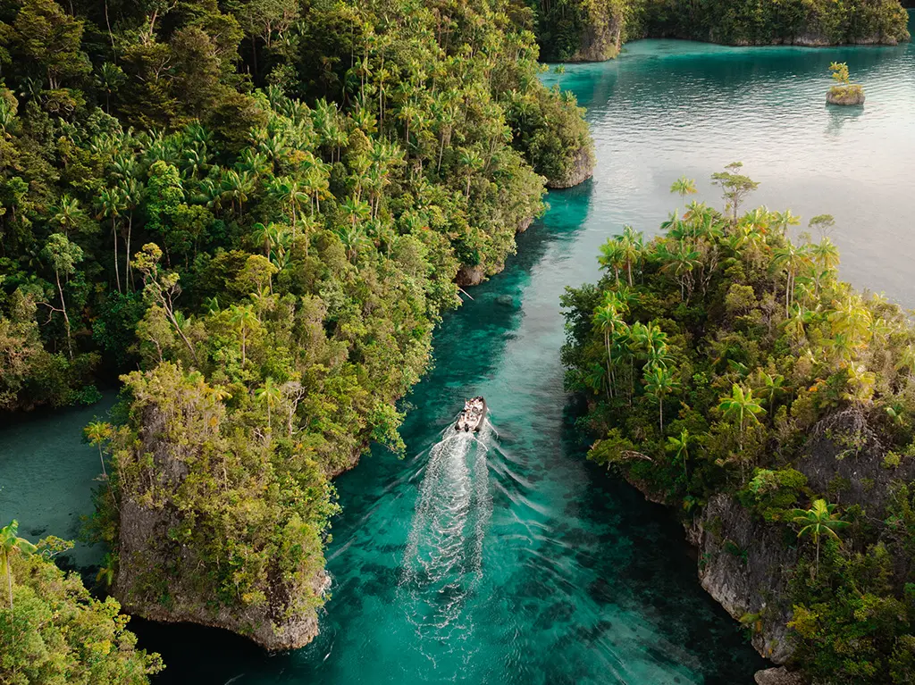 Spice Islands & Asmat Tribe Expedition — image 3