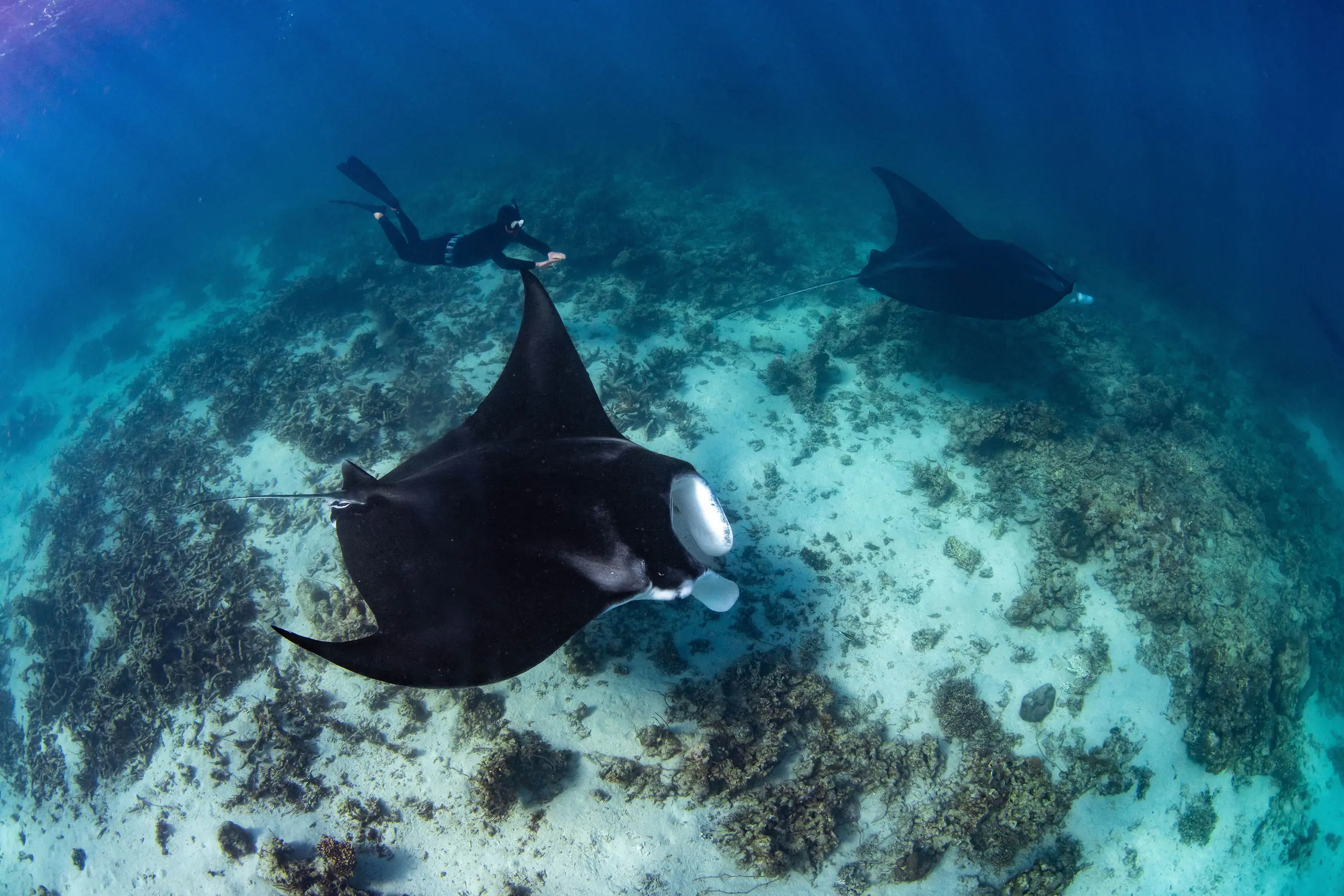 North Raja Ampat Expedition