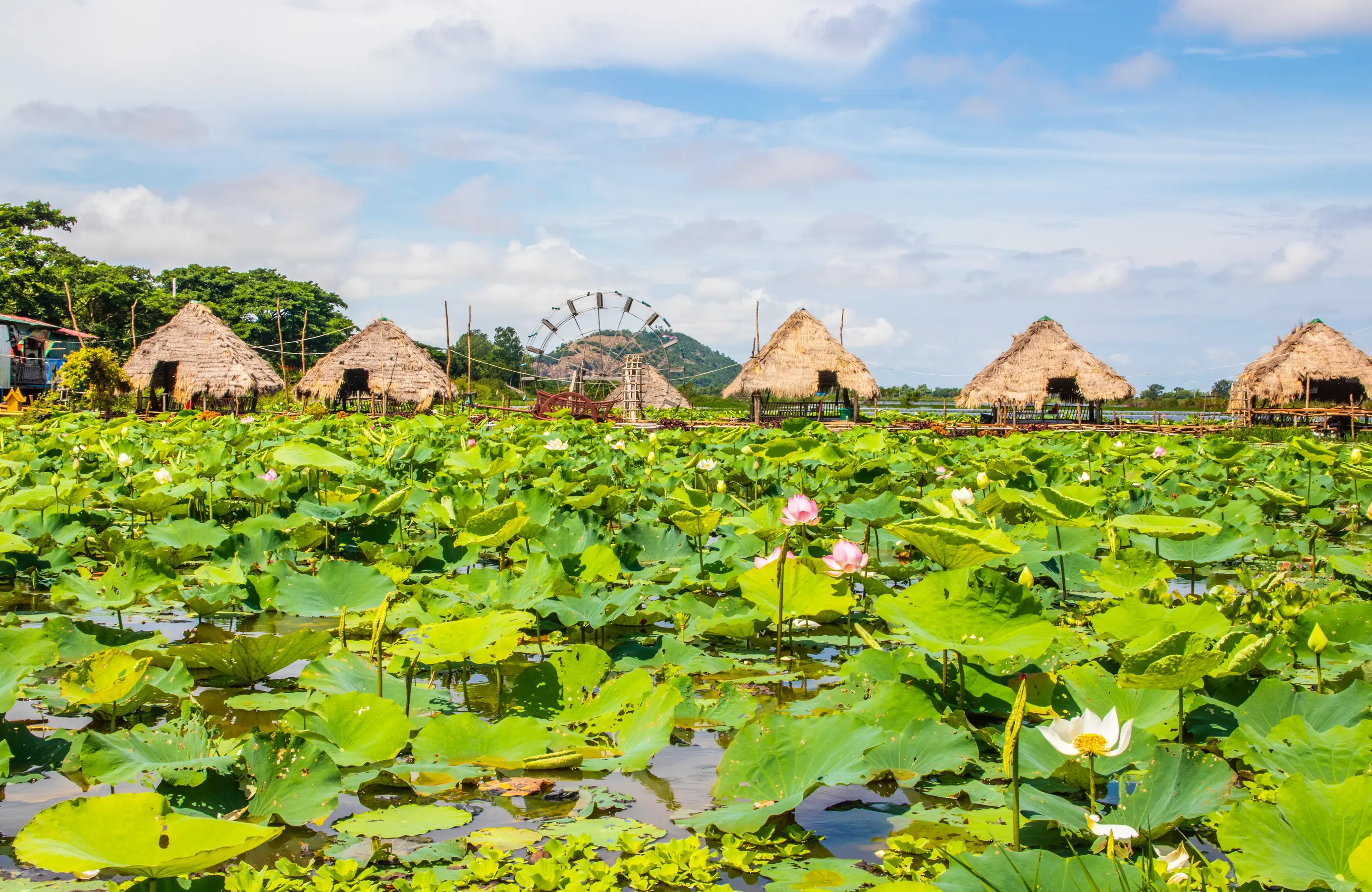 Aqua Mekong Expedition Cruise