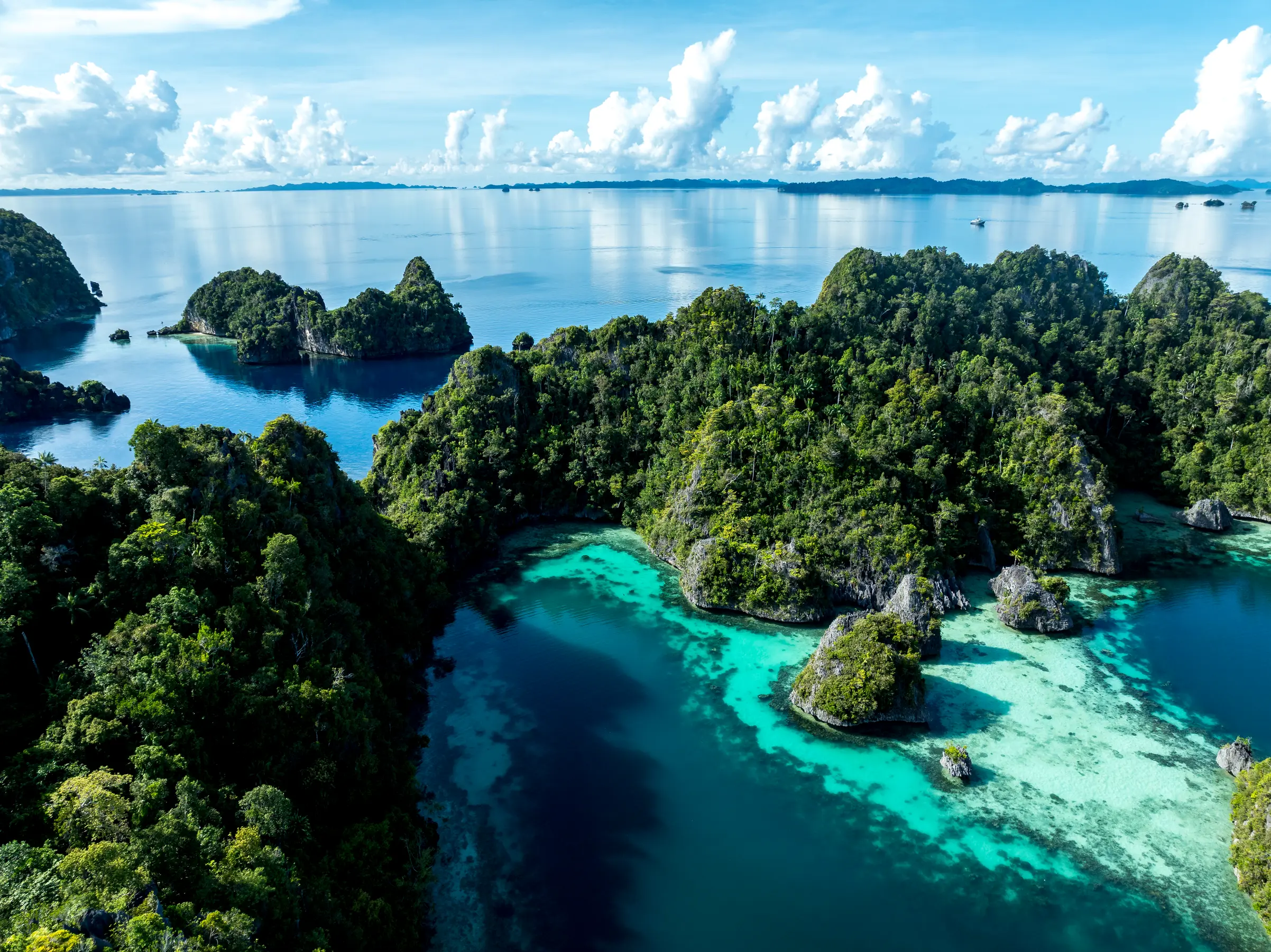 North & South Raja Ampat Expedition