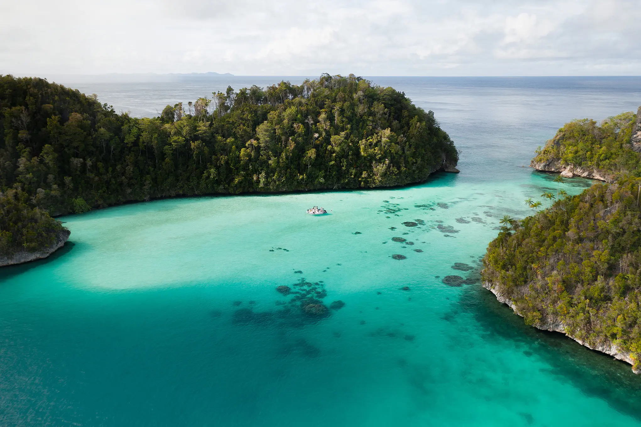 North & South Raja Ampat Expedition