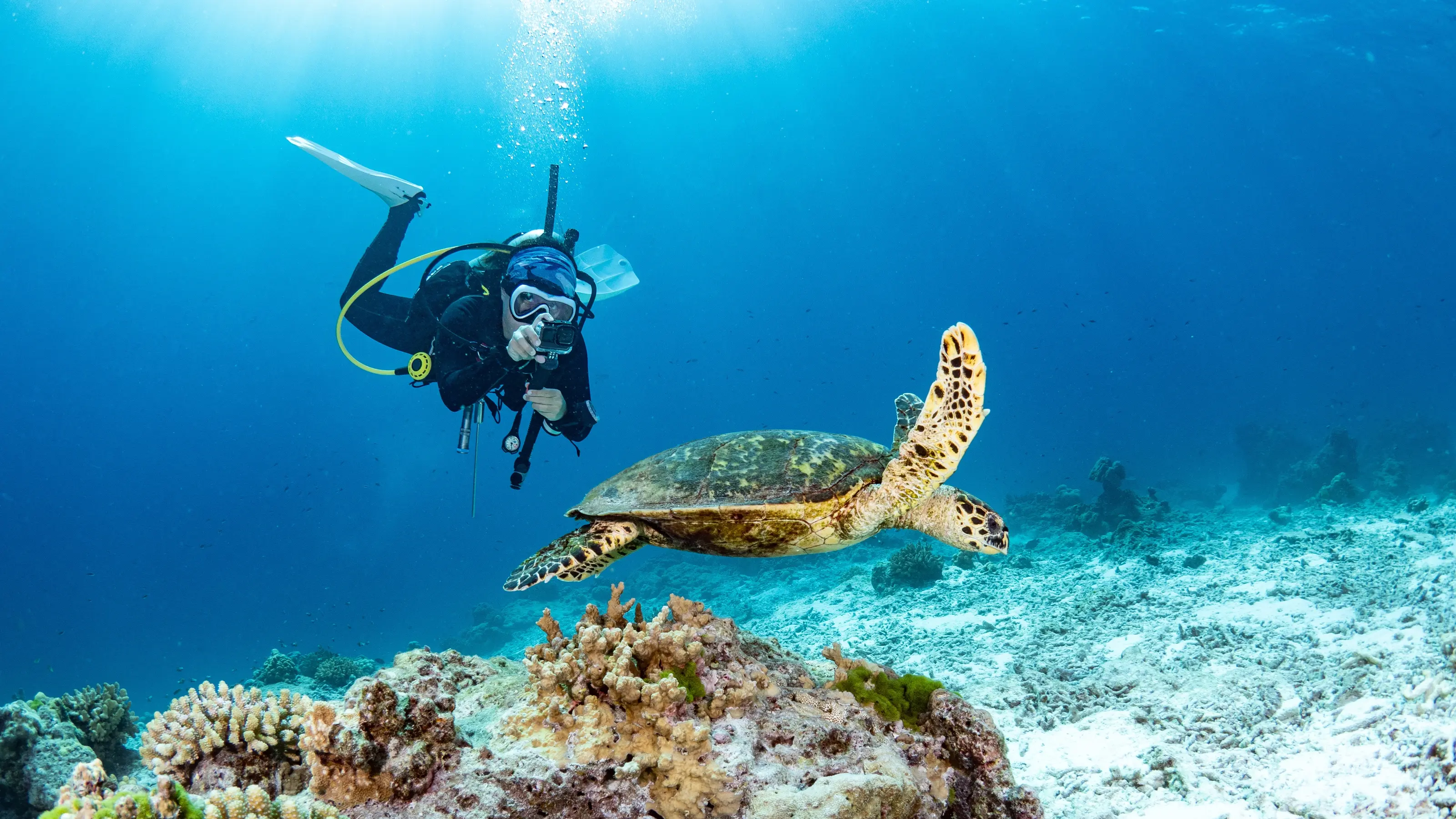 The Coralline Seychelles & Inner Islands