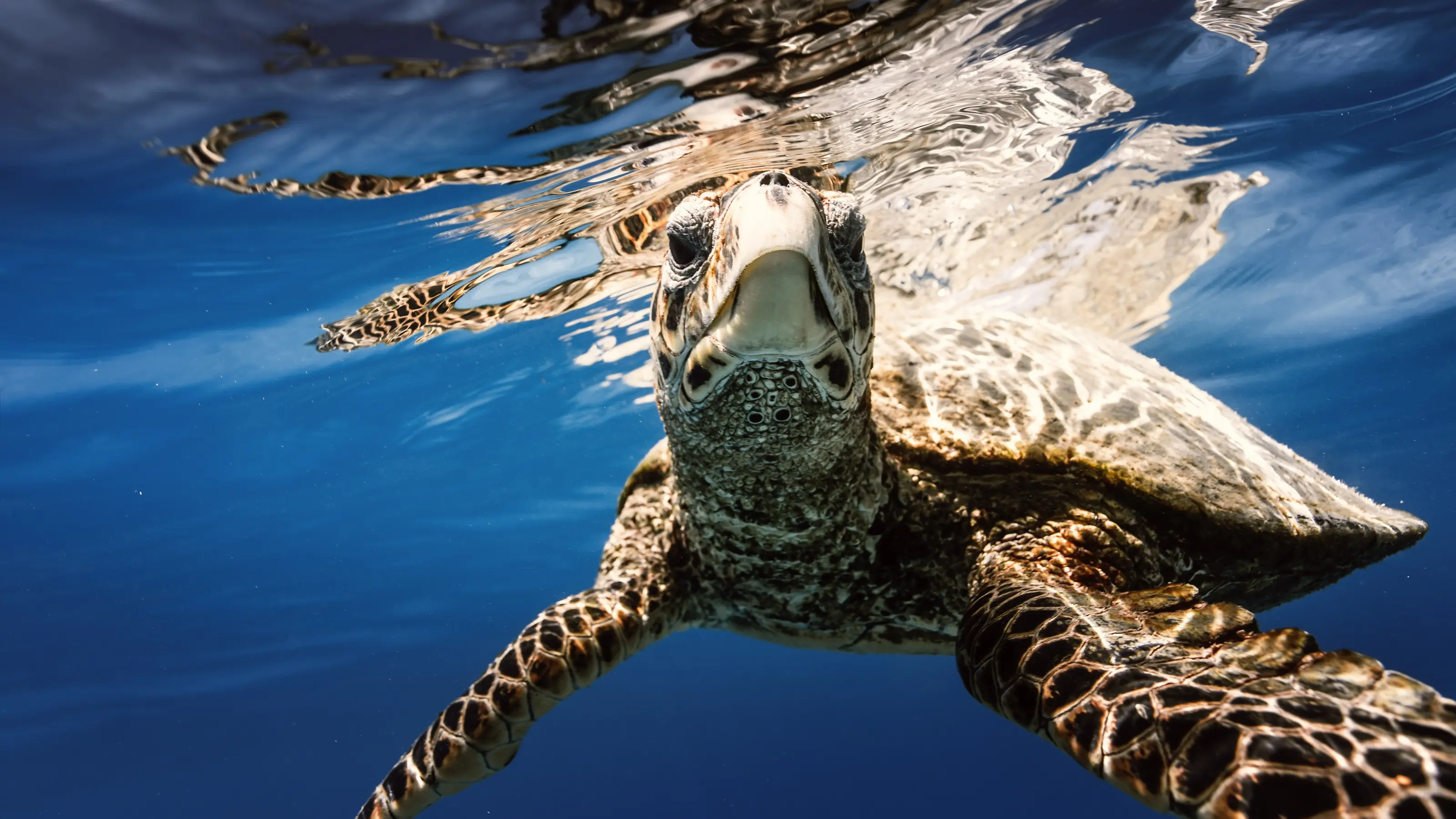 La Digue & Seychelles' Inner Islands