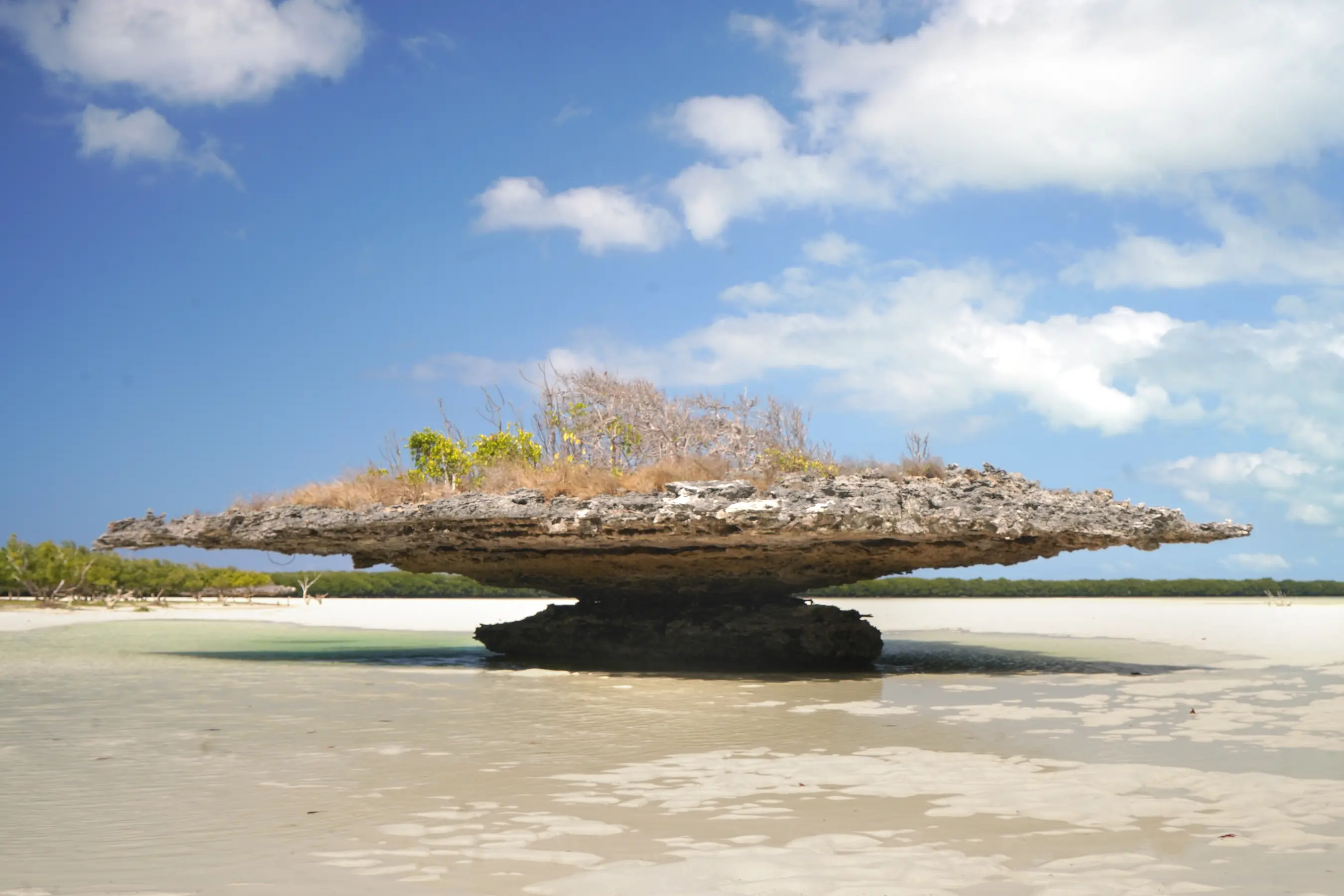 Madagascar & Aldabra, Seychelles