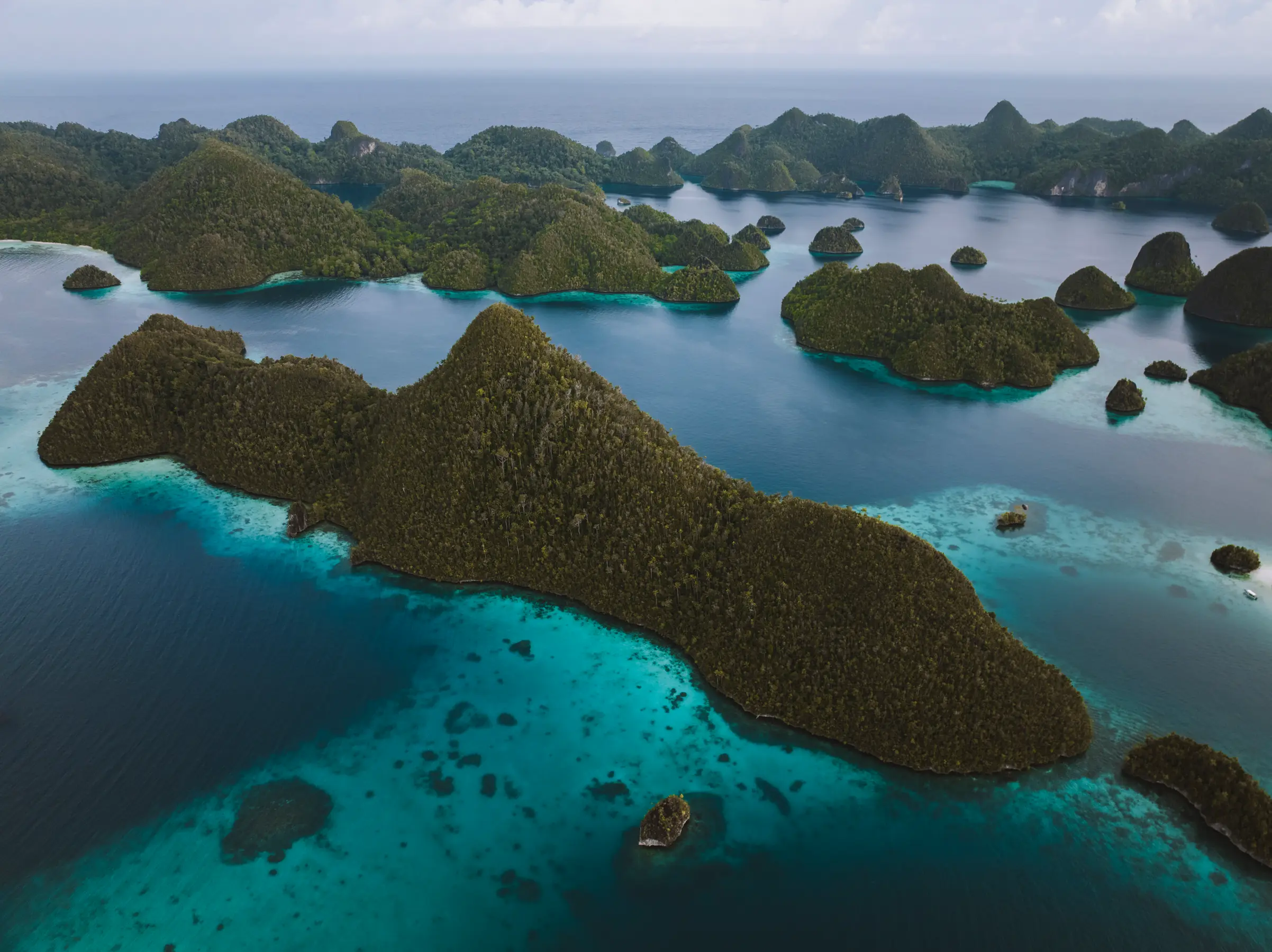 Raja Ampat Expedition