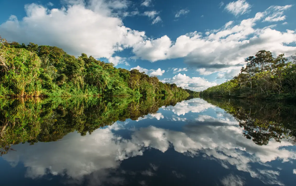 Amazon river cruise