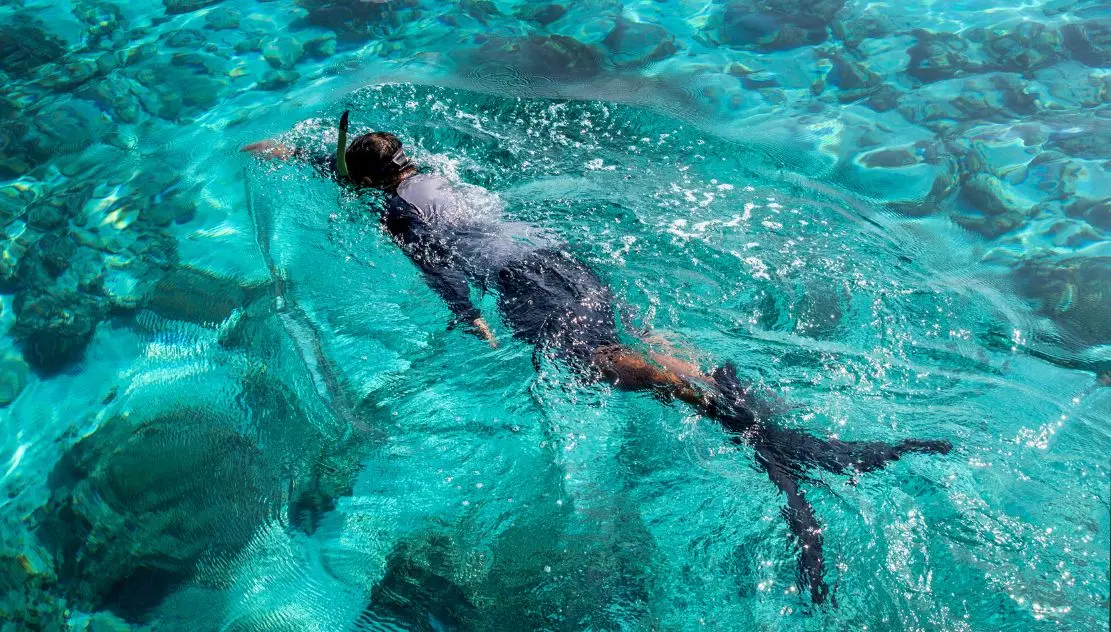 Fred M's testimonial