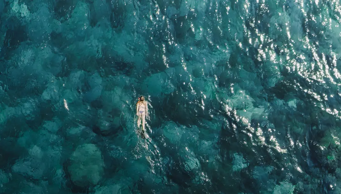 Aqua Blu Guest 's testimonial