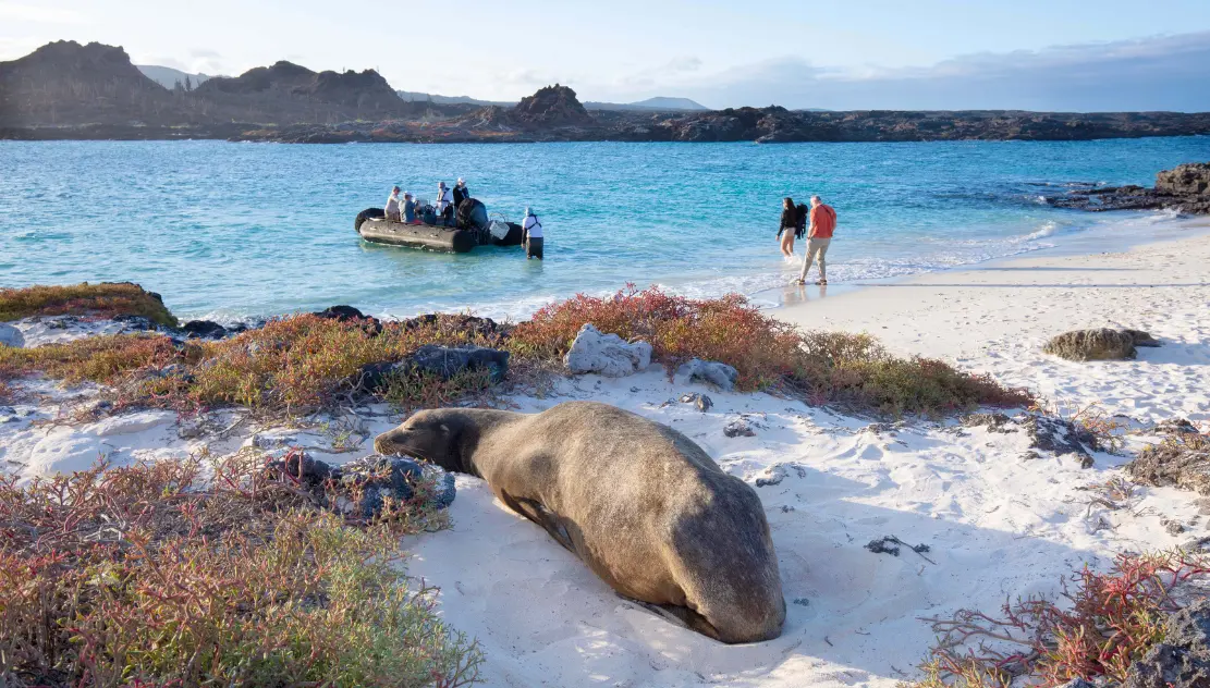 Monica A.'s testimonial