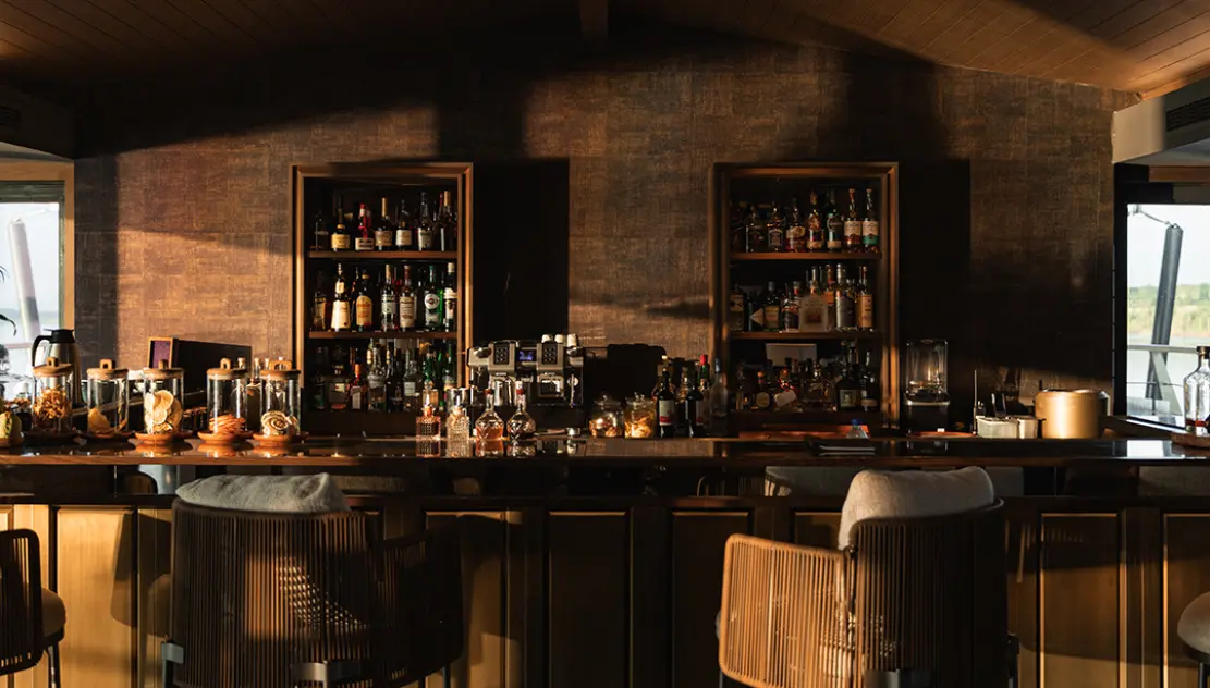 Anisha S.'s testimonial