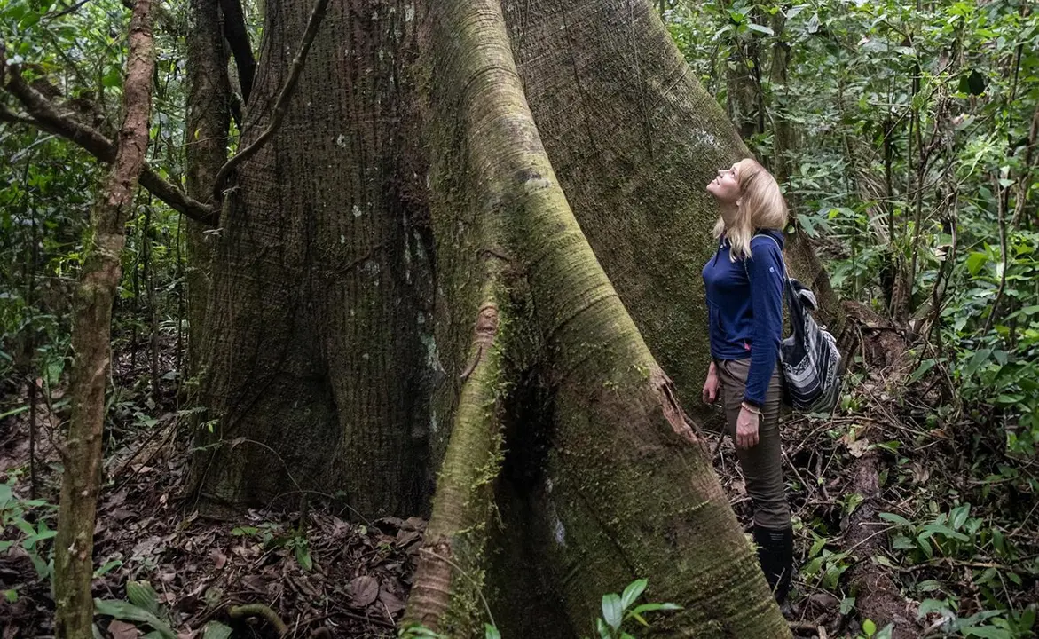 Di ck and Lale's testimonial