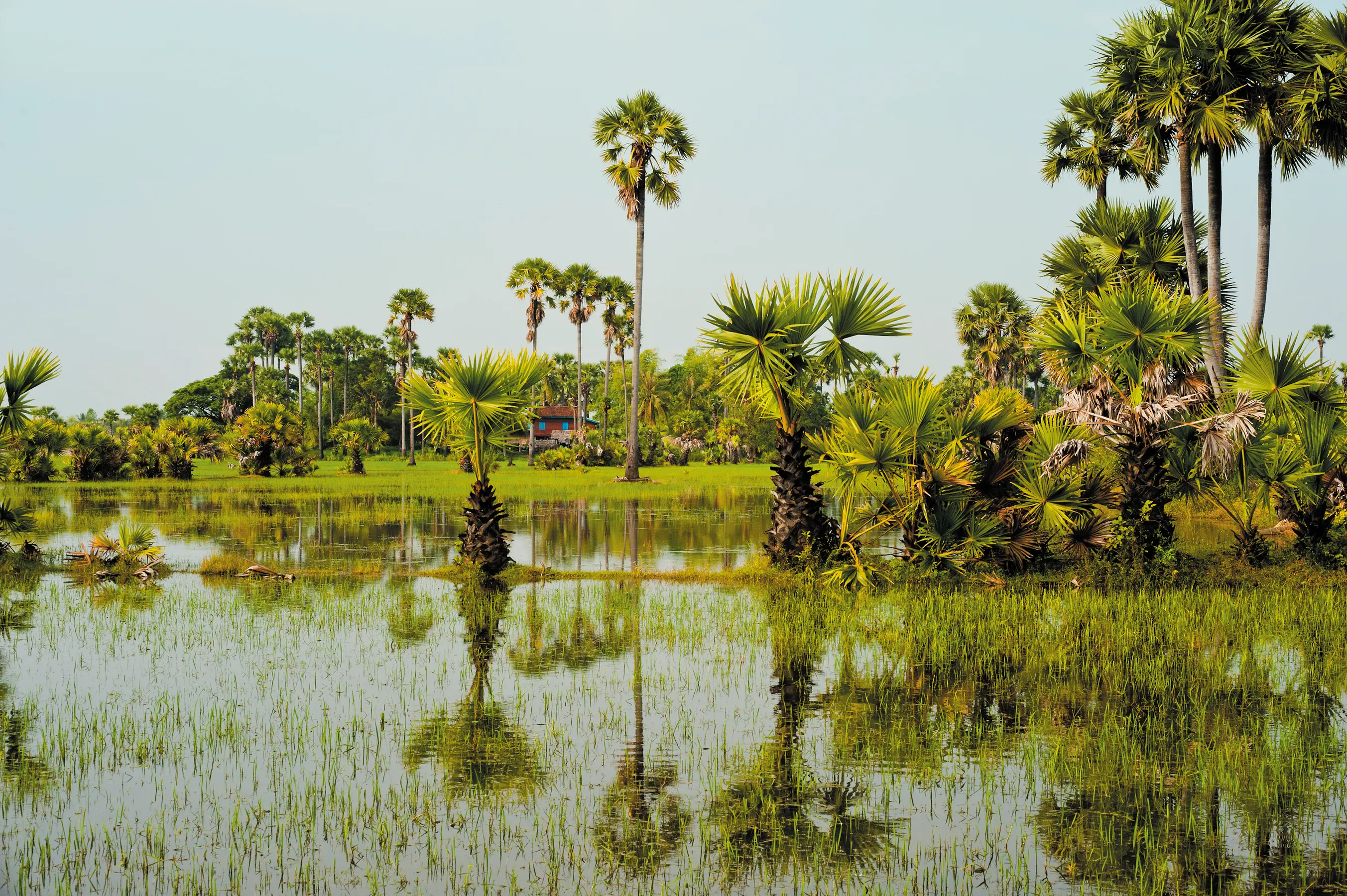 Best Time to Visit Cambodia and Vietnam | Aqua Expeditions